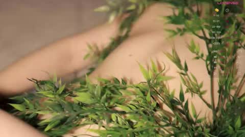 Toshi online show from October 19, 2025, 1:01 pm