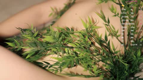 Toshi online show from December 1, 2025, 1:05 pm