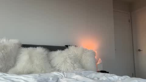 transfrmgirl98 online show from November 18, 2025, 9:52 pm