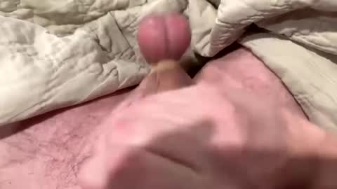 tree553 online show from January 13, 2025, 1:56 am