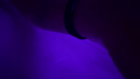 triplehero online show from December 30, 2024, 12:54 am