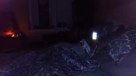 Snapshot of tsamberwhite007 chatting on October 29, 2025, 3:20 am Amber White online show from October 29, 2025, 3:20 am