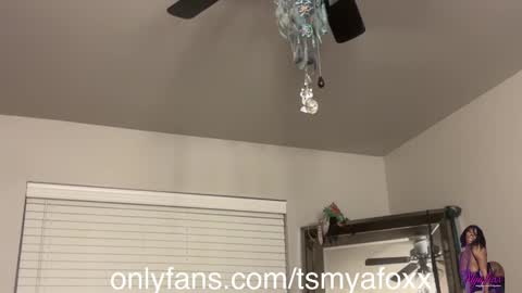 tsfoxx online show from December 11, 2024, 12:34 pm