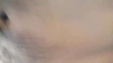 Snapshot of ttimmyt chatting on November 8, 2025, 8:07 pm ttimmyt online show from November 8, 2025, 8:07 pm