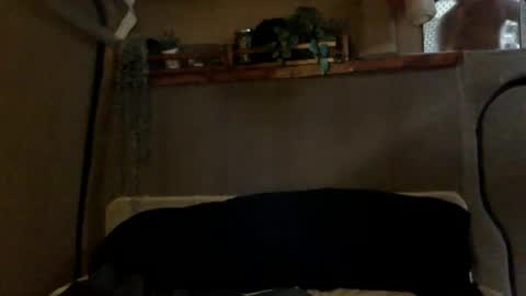 Snapshot of tuhands chatting on January 9, 2025, 3:01 pm Tuhands online show from January 9, 2025, 3:01 pm