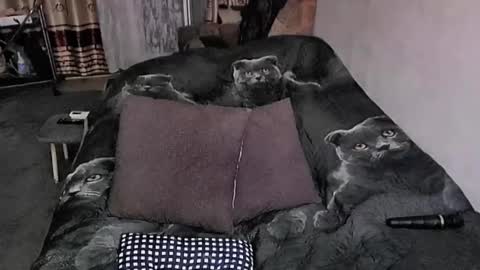 Snapshot of tviks chatting on October 23, 2025, 11:35 pm Lana online show from October 23, 2025, 11:35 pm