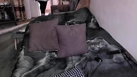 Snapshot of tviks chatting on November 17, 2025, 7:36 am Lana online show from November 17, 2025, 7:36 am