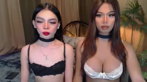 twinktransshanel online show from October 6, 2025, 4:21 am