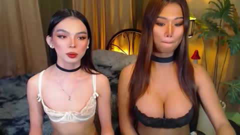 twinktransshanel online show from October 8, 2025, 5:05 am