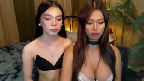 twinktransshanel online show from October 9, 2025, 5:27 am