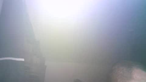 Snapshot of tybursex666 chatting on September 26, 2025, 11:42 pm tybursex666 online show from September 26, 2025, 11:42 pm