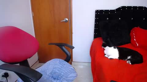 Eveling Blanco  online show from February 18, 2025, 5:53 pm