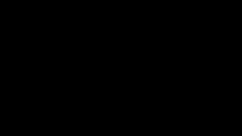 Valen Scott online show from January 15, 2025, 11:32 am