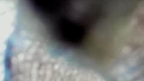 Snapshot of valeri_tafur chatting on October 13, 2025, 10:59 am valeri_tafur online show from October 13, 2025, 10:59 am