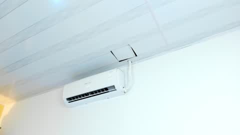 Valery online show from November 11, 2025, 5:40 am