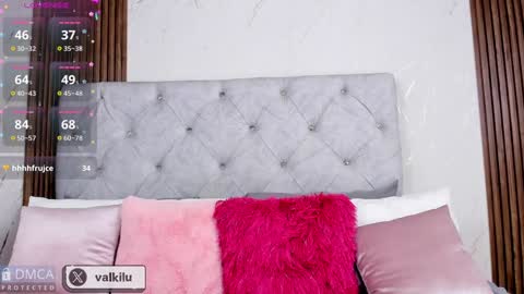 Snapshot of valkilu11 chatting on January 30, 2025, 1:33 am valkilu11 online show from January 30, 2025, 1:33 am