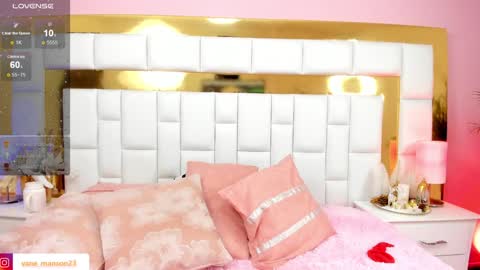 Snapshot of vane_manson chatting on December 27, 2024, 4:21 pm vane_manson online show from December 27, 2024, 4:21 pm