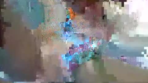 veera256 online show from January 19, 2025, 1:55 pm