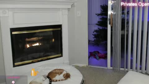 Snapshot of vegas_romance chatting on February 12, 2025, 8:49 am vegas_romance online show from February 12, 2025, 8:49 am