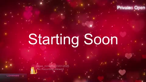 Snapshot of vegas_romance chatting on March 2, 2025, 3:45 am vegas_romance online show from March 2, 2025, 3:45 am