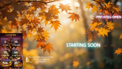 Snapshot of vegas_romance chatting on October 6, 2025, 12:19 am vegas_romance online show from October 6, 2025, 12:19 am