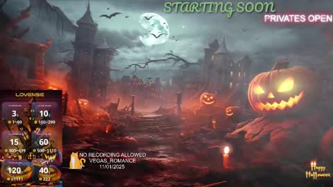 vegas_romance online show from November 2, 2025, 12:13 am