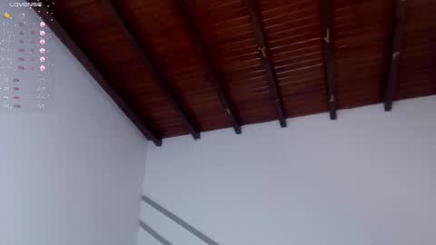 Snapshot of venusevans1 chatting on December 28, 2024, 11:26 pm Venus Evans online show from December 28, 2024, 11:26 pm