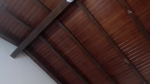 Snapshot of venusevans1 chatting on February 4, 2025, 3:54 am Venus Evans online show from February 4, 2025, 3:54 am