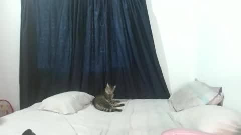 Snapshot of veronicagracia2531 chatting on November 17, 2025, 9:09 pm veronicagracia2531 online show from November 17, 2025, 9:09 pm