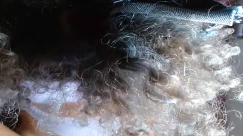 Snapshot of victoria_miler chatting on February 14, 2025, 3:54 am VICKY online show from February 14, 2025, 3:54 am