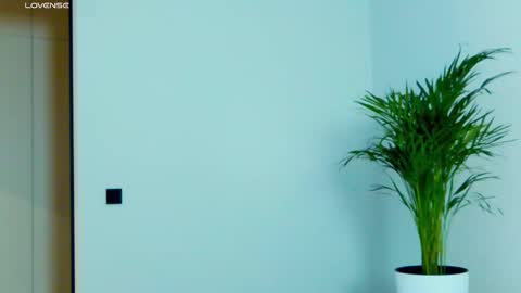 Miss V online show from November 27, 2025, 6:15 am