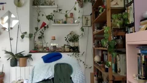 Viv online show from December 3, 2024, 9:33 am