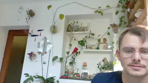 Viv online show from December 31, 2024, 12:57 pm