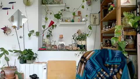 Viv online show from January 6, 2025, 1:08 pm