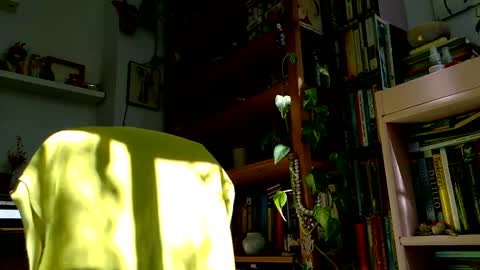 Viv online show from October 27, 2025, 12:09 pm