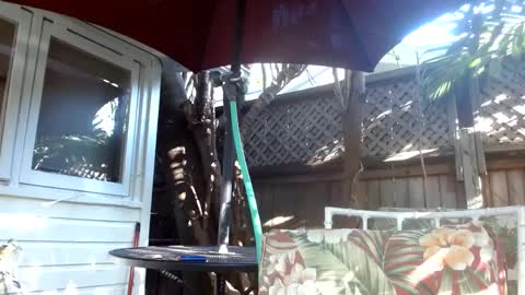 vtcd online show from February 6, 2025, 9:28 pm