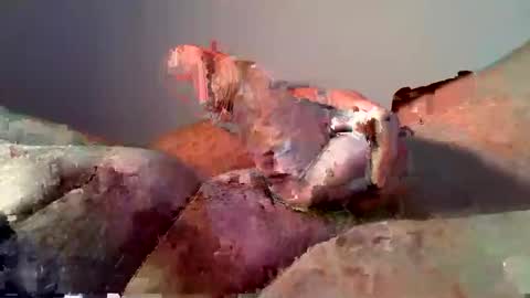 vukavuka99 online show from December 16, 2024, 12:59 am