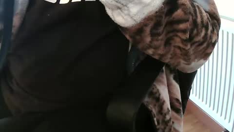 Snapshot of vulkan12p chatting on February 4, 2025, 2:10 pm Daniel online show from February 4, 2025, 2:10 pm