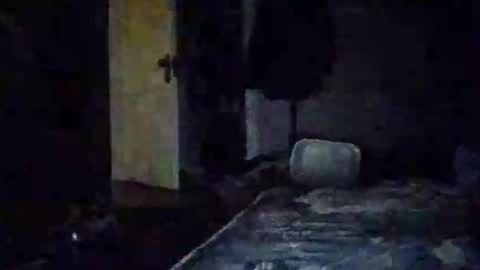 Walter online show from November 14, 2025, 10:58 am