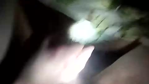 Snapshot of wariatos3 chatting on January 10, 2025, 12:17 am wariatos3 online show from January 10, 2025, 12:17 am