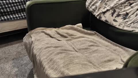 Snapshot of watcher950585 chatting on January 3, 2025, 9:57 pm Daddy online show from January 3, 2025, 9:57 pm