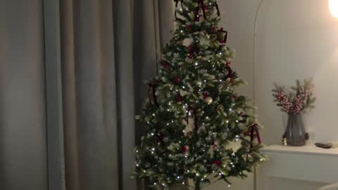 Snapshot of wellicaren chatting on January 8, 2025, 12:47 pm CAREN online show from January 8, 2025, 12:47 pm