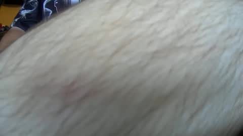 werewolf549 online show from October 14, 2025, 7:53 am