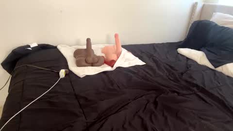 Snapshot of wetcreamerr chatting on November 13, 2025, 2:16 pm SheSquirts online show from November 13, 2025, 2:16 pm