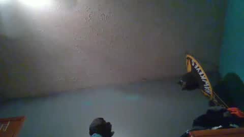 Snapshot of wetduck77777 chatting on October 5, 2025, 8:01 am wetduck77777 online show from October 5, 2025, 8:01 am