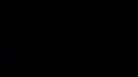 Snapshot of whitehead_lion chatting on February 9, 2025, 5:40 am whitehead_lion online show from February 9, 2025, 5:40 am