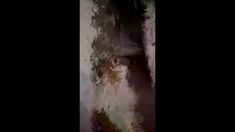 Snapshot of whitelava_4u chatting on December 2, 2025, 3:01 am whitelava_4u online show from December 2, 2025, 3:01 am