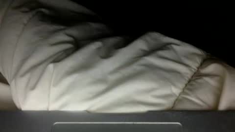 Snapshot of wholesomebull00 chatting on November 10, 2025, 4:55 am wholesomebull00 online show from November 10, 2025, 4:55 am