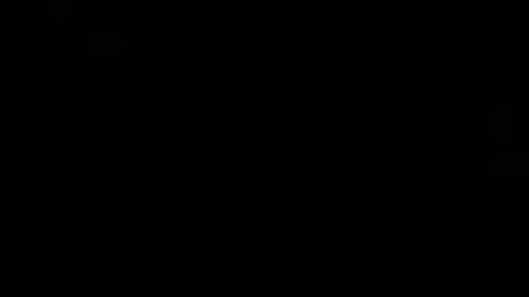 whoopthereitis8 online show from November 29, 2025, 12:24 am