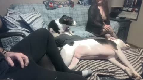 whynotforfun1 online show from January 10, 2025, 1:10 am